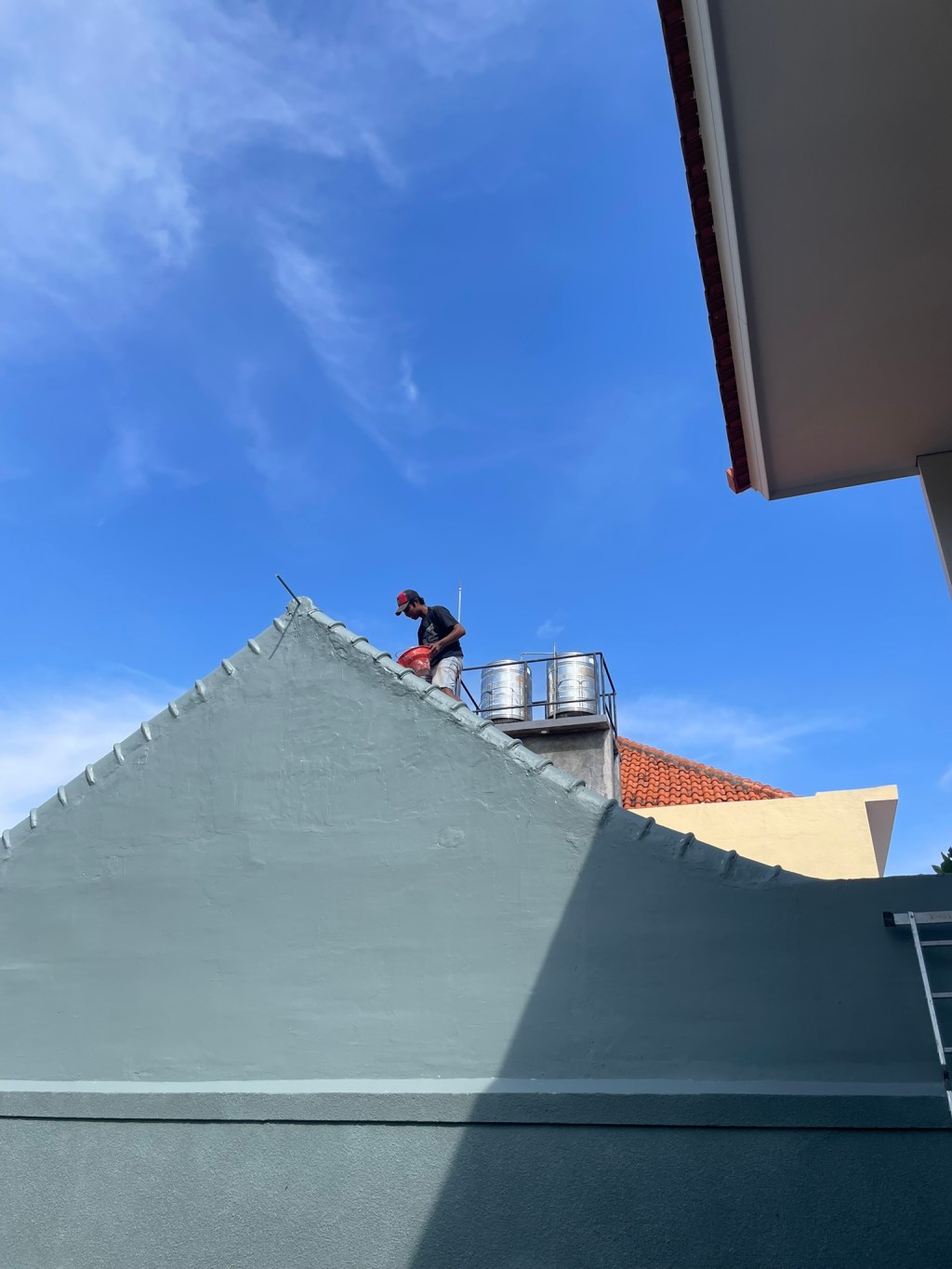 Leading and Innovating in the Painting and Decorating&nbsp;Industry